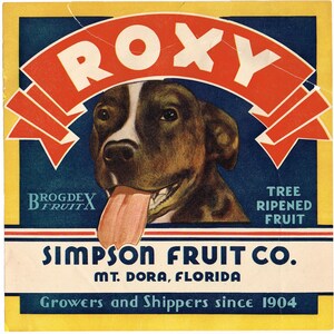 Op de afbeelding: Een rechthoekig vintage fruitkistlabel met een bruine en witte hond met een roze tong. De tekst luidt ROXY, BROGDEX FRUIT, TREE RIPENED FRUIT, SIMPSON FRUIT CO., MT. DORA, FLORIDA en Growers and Shippers since 1904 op een blauwe en gele achtergrond.