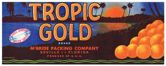 オリジナル ビンテージ フロリダ シトラス クレート ラベル c1940 年代