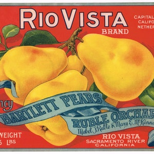 Original vintage pear crate label 1920s Rio Vista Stone Lithograph Ruble Orchard California Sacramento River Scarce