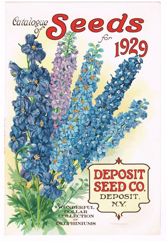 seed mats wildflowers Rocky Mountain Wildflower Mix Seeds