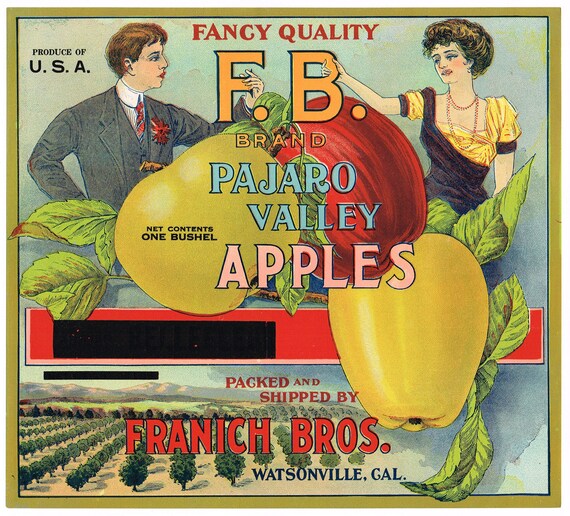 Watsonville Pajaro Valley California Diving Girl Apple Fruit Crate Label Print