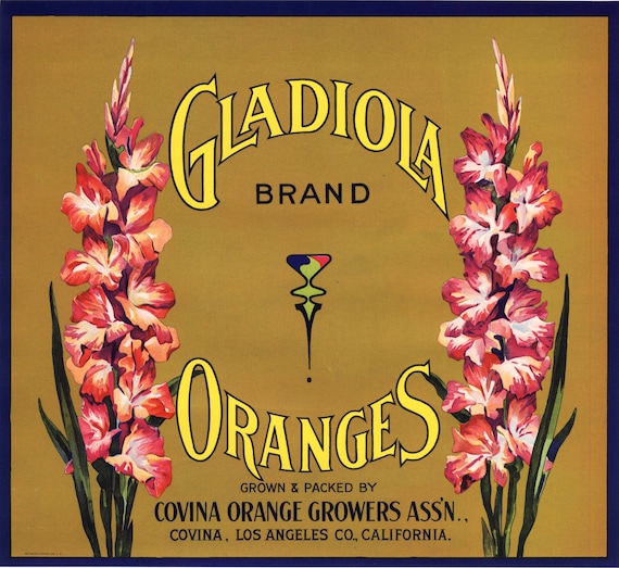 1930s DAISY COVINA CALIFORNIA ORIGINAL ORANGE CRATE LABEL FLOWER KITCHEN ART