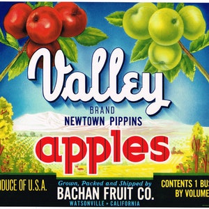 Original vintage apple crate label 1940s Valley Watsonville Landscape California
