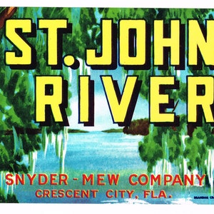 Original vintage Florida citrus crate label c1950s Crescent City 9X3.75&quot; Strip Scarce St. Johns River Everglades