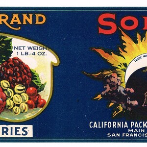 Original Antique vintage Tin Can label 1920s San Francisco Solar Eclipse San Francisco Gooseberry Gooseberries Scarce