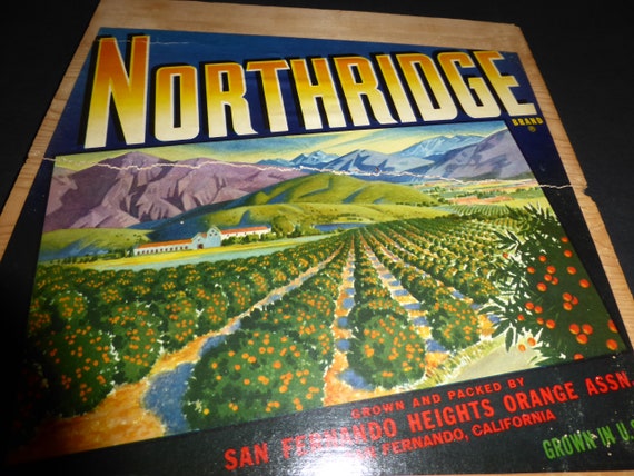 San Fernando Los Angeles Top Luck Horse Orange Citrus Fruit Crate Label Print