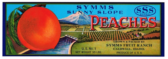 X10 Wholesale Original Vintage Peach Crate Label 1940s Caldwell