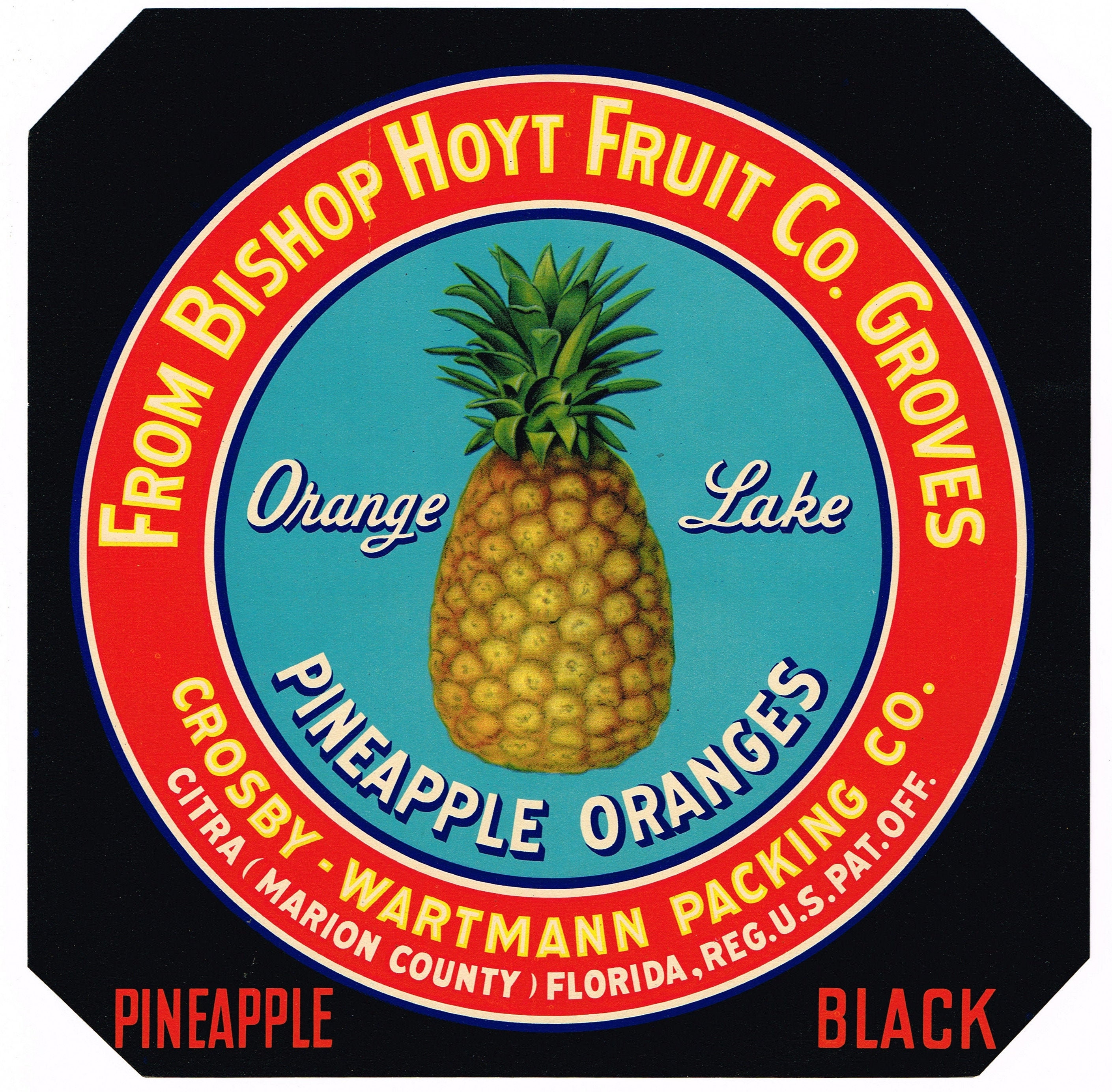 Лампа e27 60w 220v fl-vintage ретро. Лампа накаливания ретро 60вт e27. Elektrostandard - st64 60w. Fl-vintage g125 60w. Лабел флорида.