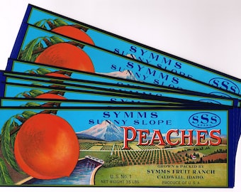 x10 Wholesale Original vintage peach crate label 1940s Caldwell Idaho Symms Sunny Slope Landscape Dam Lug