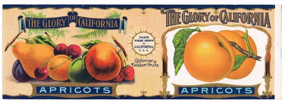 Original vintage Tin Can label C1915 The Glory of California San Francisco California Packing Corporation Bartlett Pear Original vintage Tin Can label C1915 The Glory of California San Francisco California Packing Corporation Bartlett Pear