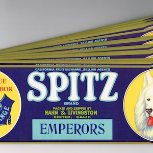 x25 卸売 オリジナル ヴィンテージ グレープ クレート ラベル 1940 年代 スピッツ サモエド犬 エクセター テュレア郡 カリフォルニア