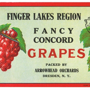 May include: A vintage label for Finger Lakes Region Fancy Concord Grapes, packed by Arrowhead Orchards in Dresden, NY. The label features a red, white, and blue shield with the text "The Beautiful Finger Lakes Concord Grapes" and an illustration of a Native American woman. The label also features three bunches of grapes: red, black, and green.