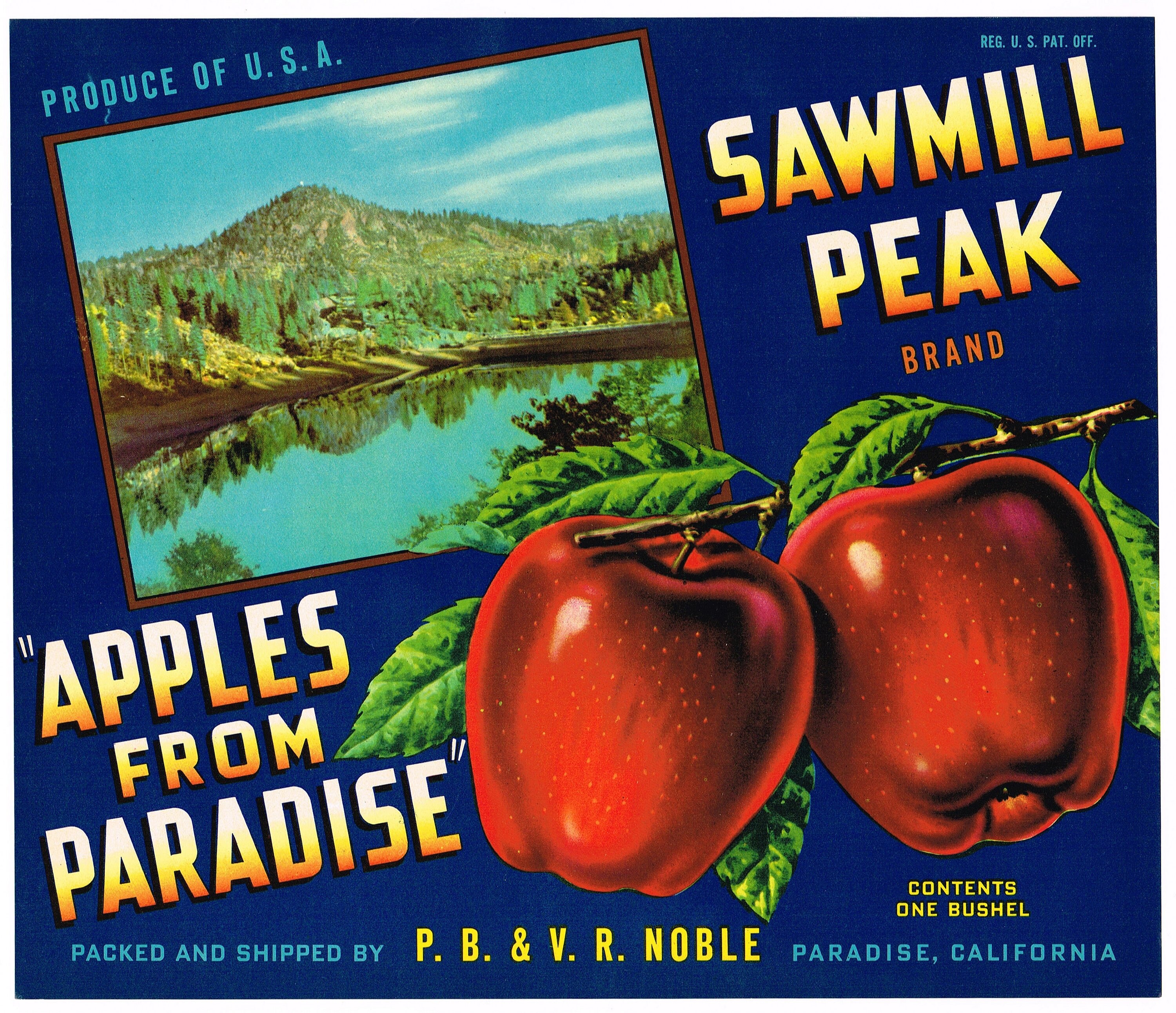 Original Vintage Apple Crate Label 1940s Paradise Mountain Sawmill