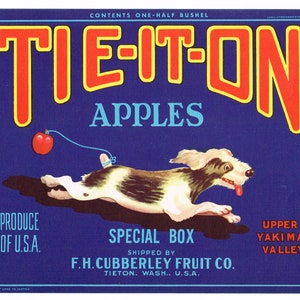 Original vintage apple crate label 1940s Tie-It-On Terrier Dog Special Box Yakima Valley Tieton Scarce