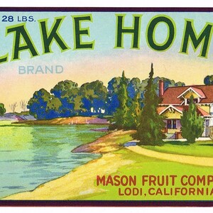 Original vintage grape crate label 1930s California Lake Home Lodi Lakeside Plums & Grapes Mason