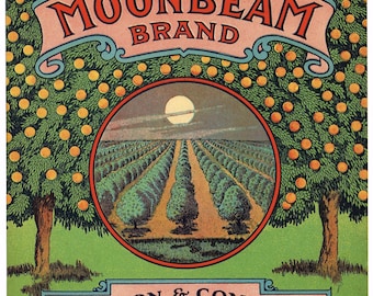 Original vintage Florida citrus crate label c1930s Moonbeam Nelson Oviedo Seminole County 7.75x7.75"