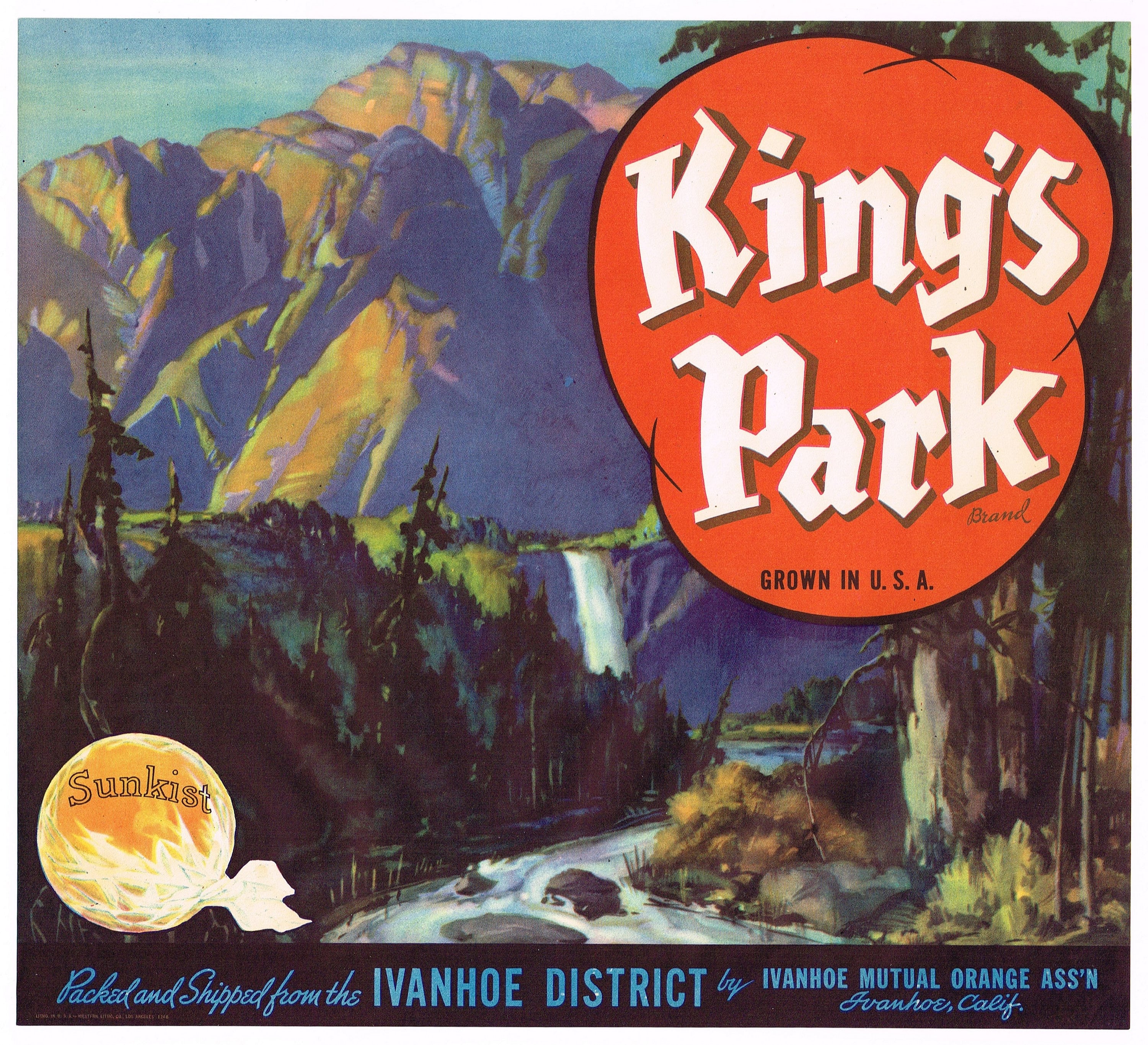 Original Vintage Citrus Crate Label 1940s King's Park Scarce Orange