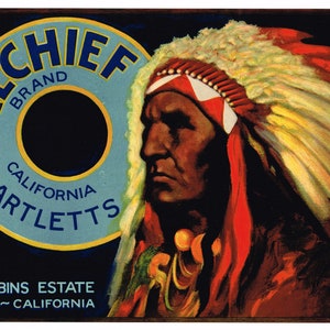 Original vintage pear crate label 1930s Cal Chief Suisun California American Indian War Bonnet scarce