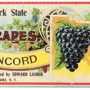 Original Vintage Traubenkiste Etikett c1910 New York Antique Lasher Choice Concords Tivoli Folk Art