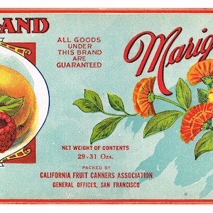 Original vintage Tin Can label C1910 Marigold Brand Mixed Fruits California Fruit Canners Association San Francisco Floral