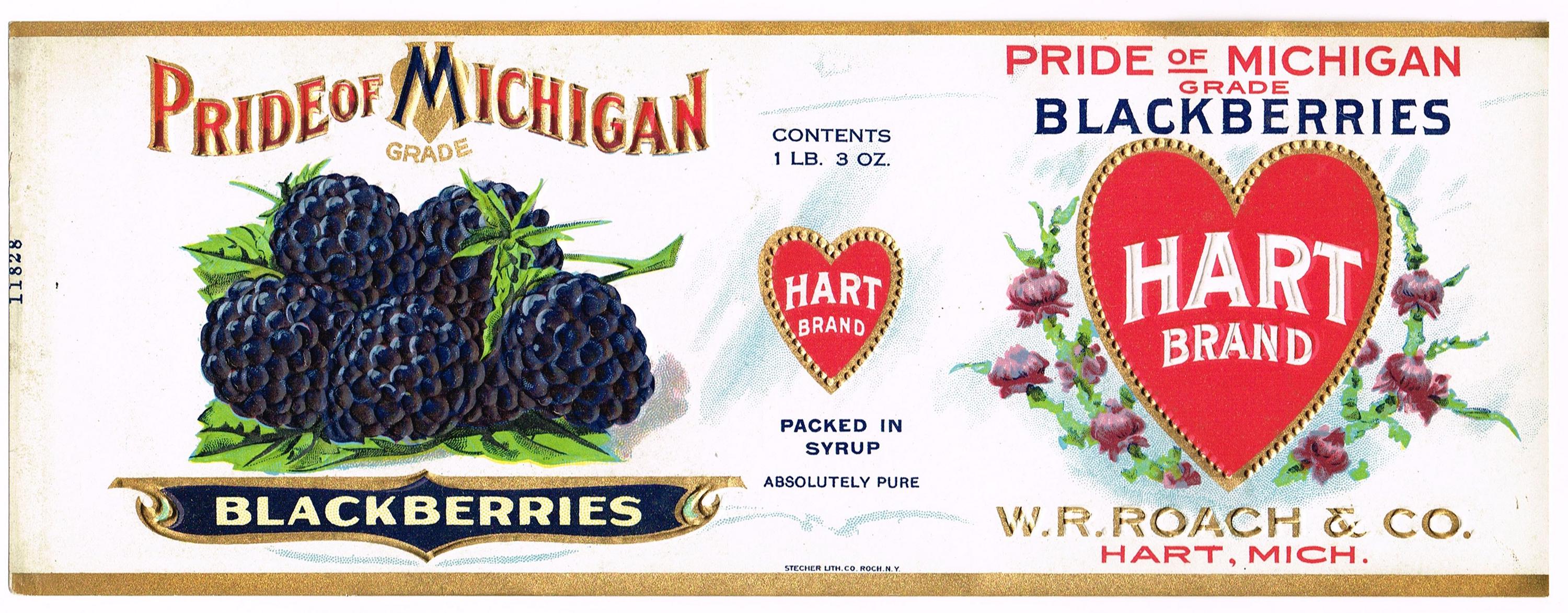 Michigan Edition Label Original Antique Vintage Tin Can Label 1920s Pride of Michigan Hart ...