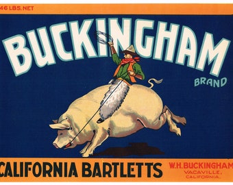 Original vintage pear crate label 1930s Buckingham Bucking Pig Cowboy western comical Vacaville California