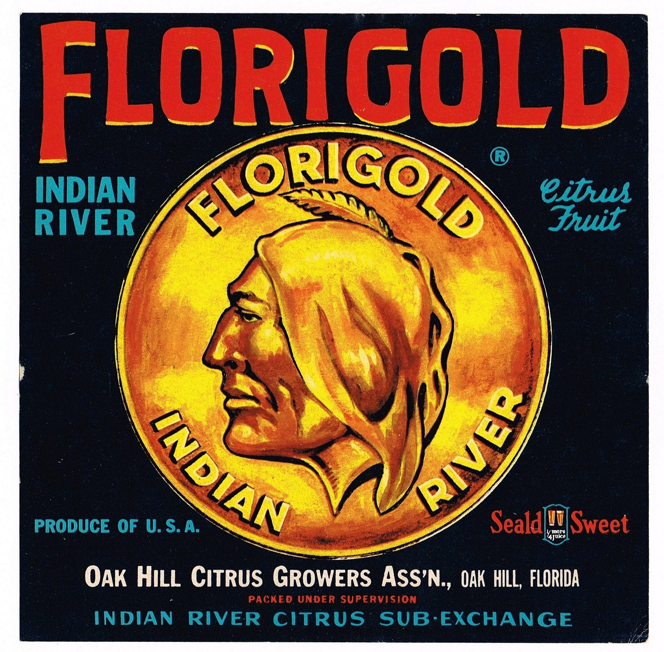 Original vintage Florida citrus crate label c1930 Florigold American Native American Gold Coin Vero Beach Oak Hill scarce