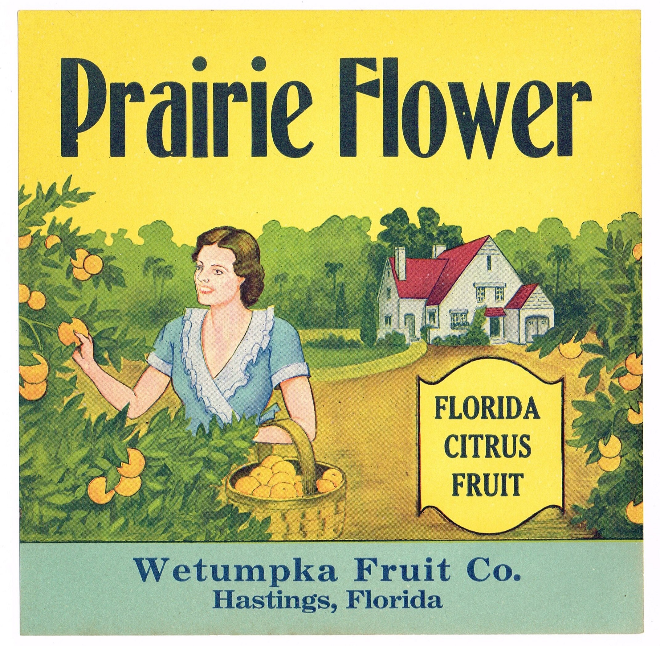 Original Vintage Florida Citrus Crate Label C1930 Prairie Flower