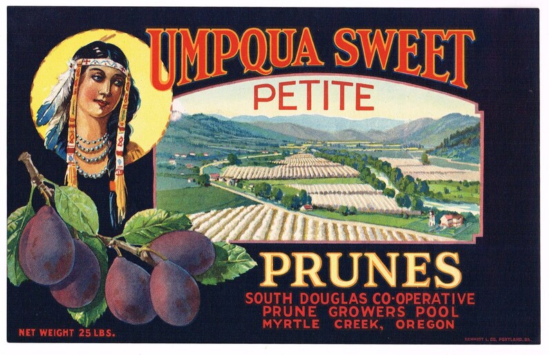 Original Vintage Prune Case Crate Label Umpqua Sweet Native American ...