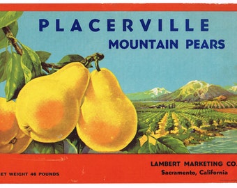 Original vintage pear crate label 1920s Scarce Placerville Brand Mountain Pears Sacramento El Dorado County