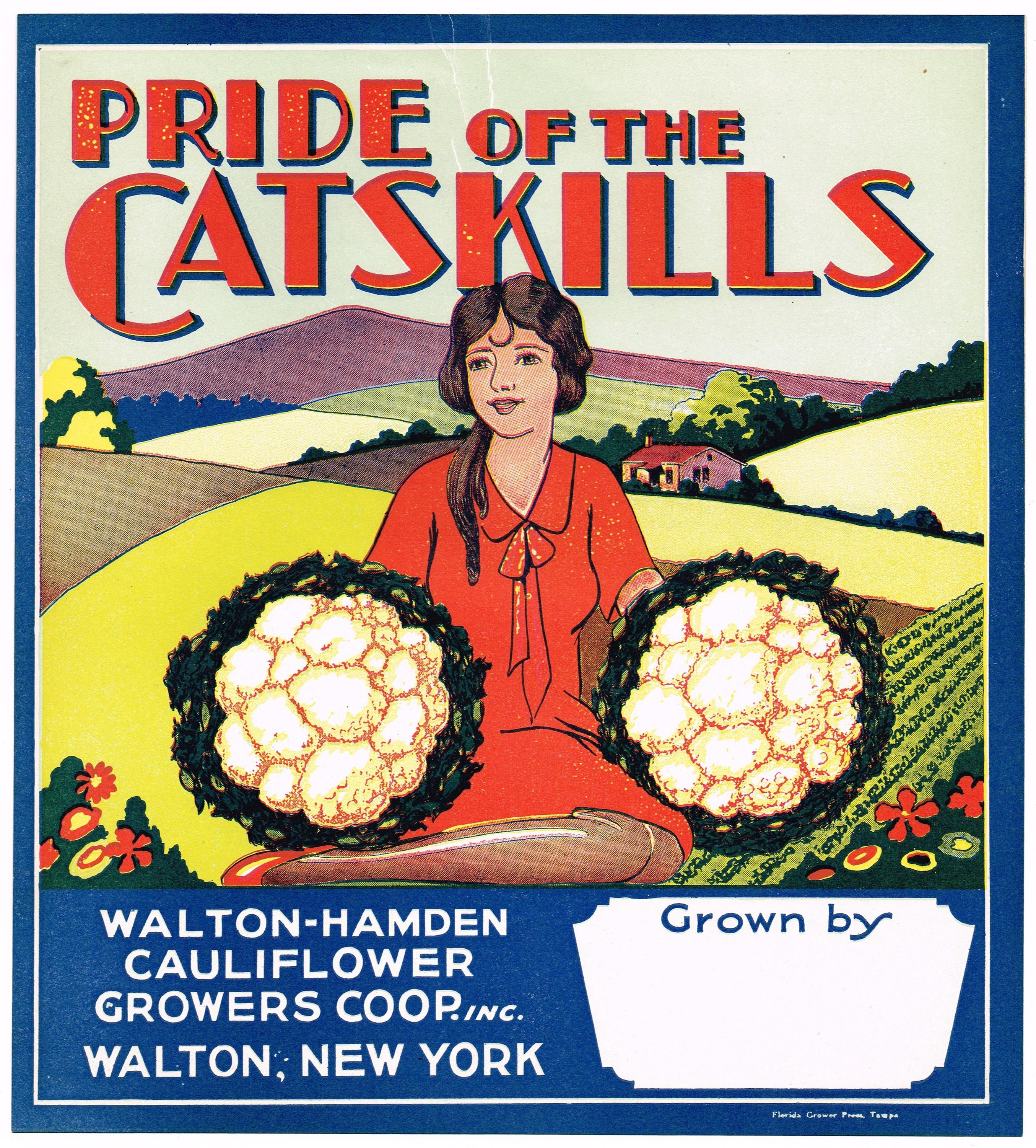 Etichetta originale vintage per cassetta di cavolfiore, anni '20, Pride of the Catskills Walton Hamden, rara, Walton New York