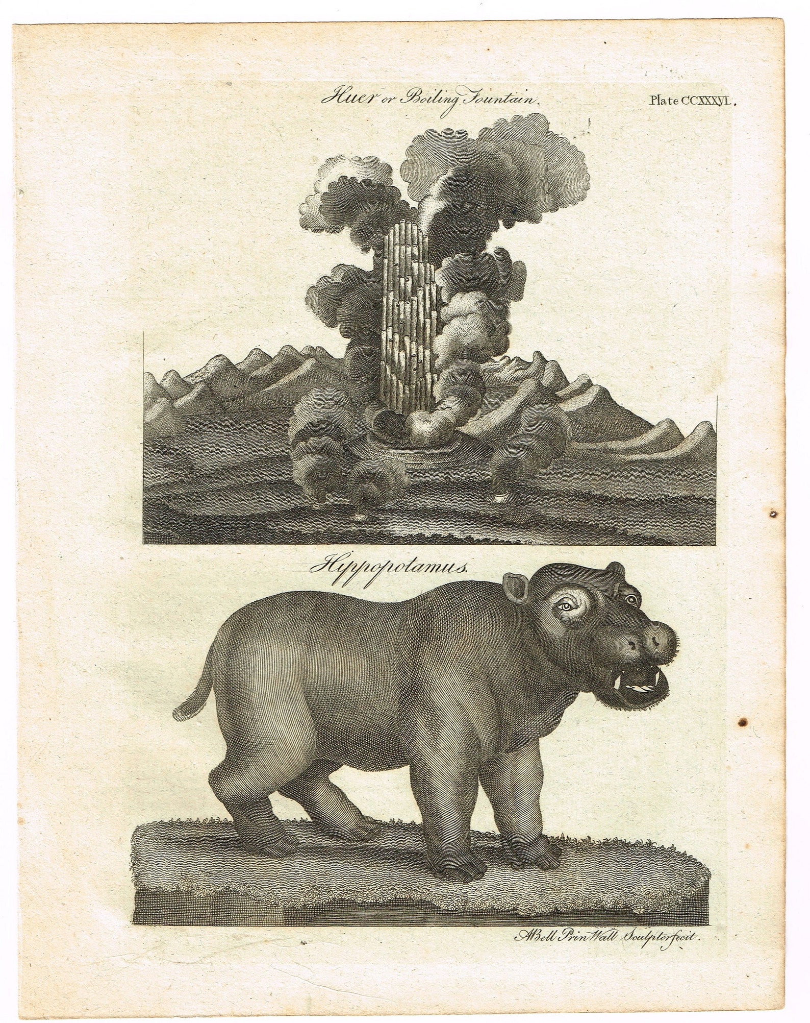 Antique 1797 Original Copper Plate Print on Laid Paper Science Etsy