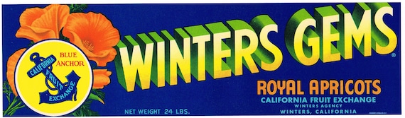AN ORIGINAL!!!! BRINCK & SONS Vintage Winters California Apricot Crate Label W