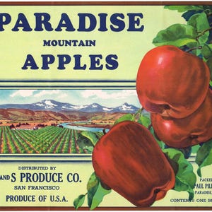 Original vintage apple crate label 1940s Paradise Mountain scarce San Francisco California