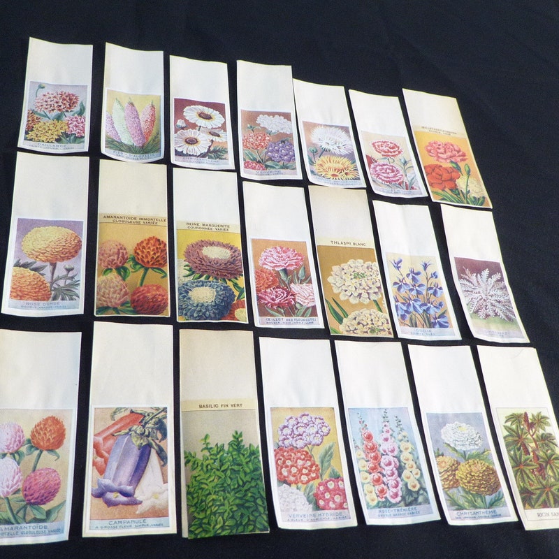 Seed Labels - Etsy