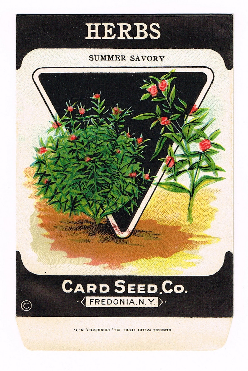 Plaque   SAVORY Card Seed Co 