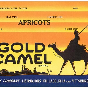 Original vintage can case crate label Gold Camel Apricots Egypt Arab Pittsburgh Pennsylvania 1930s