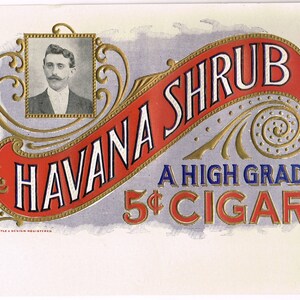 May include: A vintage cigar label with a red, white, and blue banner that reads "Havana Shrub A High Grade 5¢ Cigar". The banner is decorated with gold accents and a small portrait of a man in a suit.