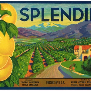 May include: A vintage label for Splendid Brand lemons, featuring a vibrant illustration of a lemon orchard with a white farmhouse in the background. The label also includes the text "Shipped by Central California Citrus Exchange" and "Packed by Klink Citrus Association Ivanhoe, Tulare County, California."