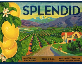 Original vintage lemon crate label 1930s Splendid Ivanhoe Tulare County California Bungalow Orchard Scene