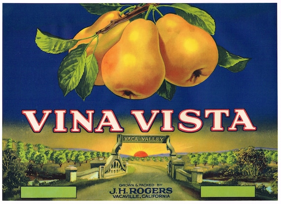 Original Vintage Pear Crate Label 1930s Vin Vista J.H. Rogers