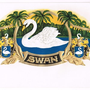 Original vintage cigar box label c1910 Chromolithograph Swan Brand Palm Trees Bronzed Embossed Inner