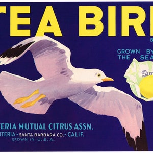 Original Lemon Crate label Santa Barbara County California 1930s vintage Sea Bird seagull Carpinteria