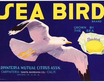 Original Lemon Crate label Santa Barbara County California 1930s vintage Sea Bird seagull Carpinteria