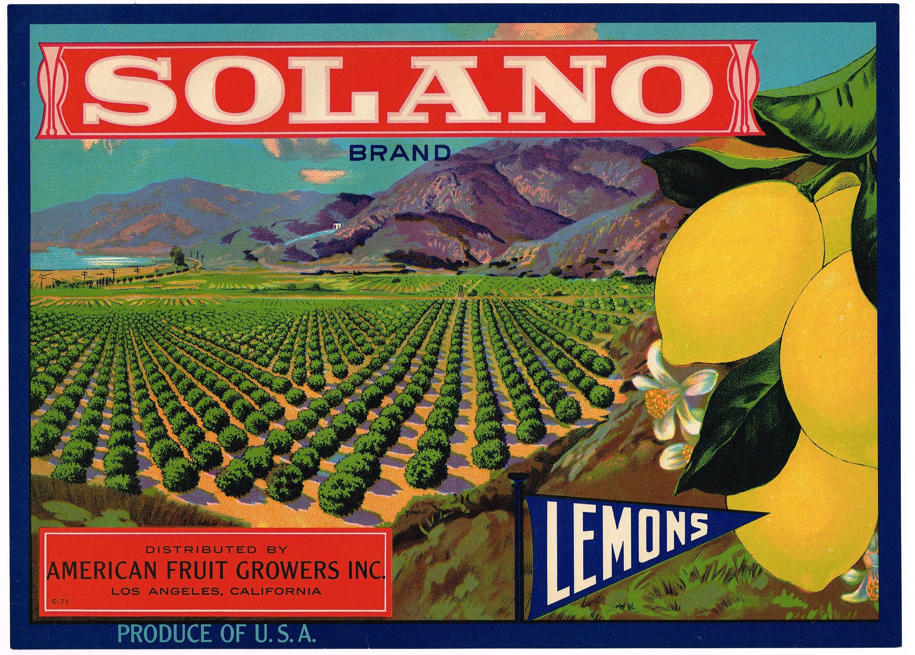 Etiqueta original de caja de limón Los Ángeles California 1930 vintage  Solano Fruit Orchards Mountains Escaso - Etsy España