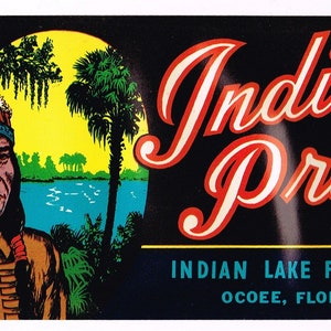Può includere: Etichetta vintage per la frutta del marchio Indian Pride, con un uomo nativo americano con un copricapo, una palma e una scena di lago. Il testo recita "Indian Pride Brand, Indian Lake Fruit Co., Ocoee, Florida."