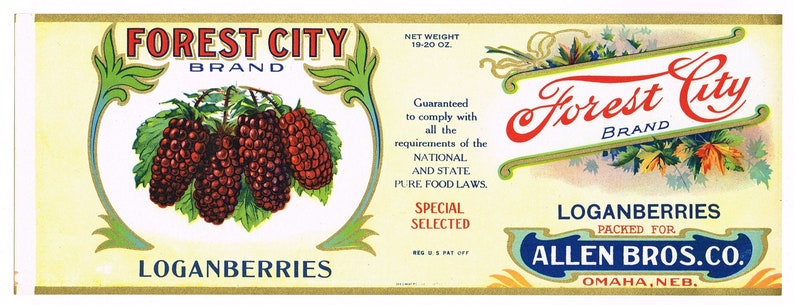 May include: A vintage label for Forest City Brand Loganberries, packed for Allen Bros. Co. in Omaha, Nebraska. The label features a red and white illustration of loganberries and a gold and blue design with the company's name and address.