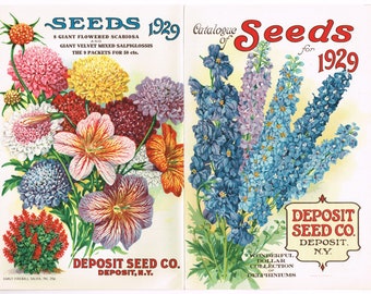 Original Flower vintage lithographed seed packet catalog cover Deposit Seed Company New York 1929 Double Panel