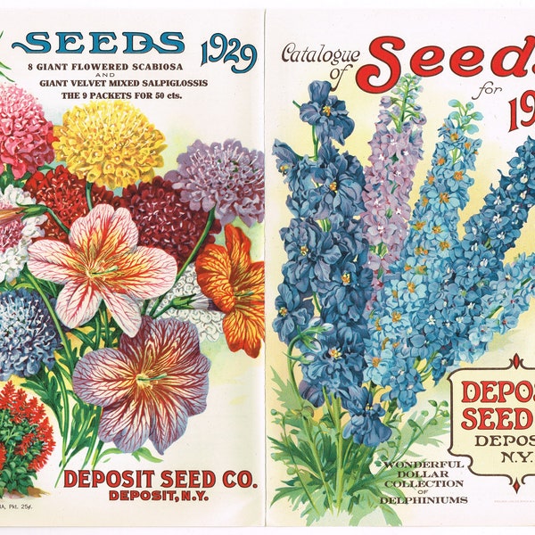 Antique Seed Packets - Etsy