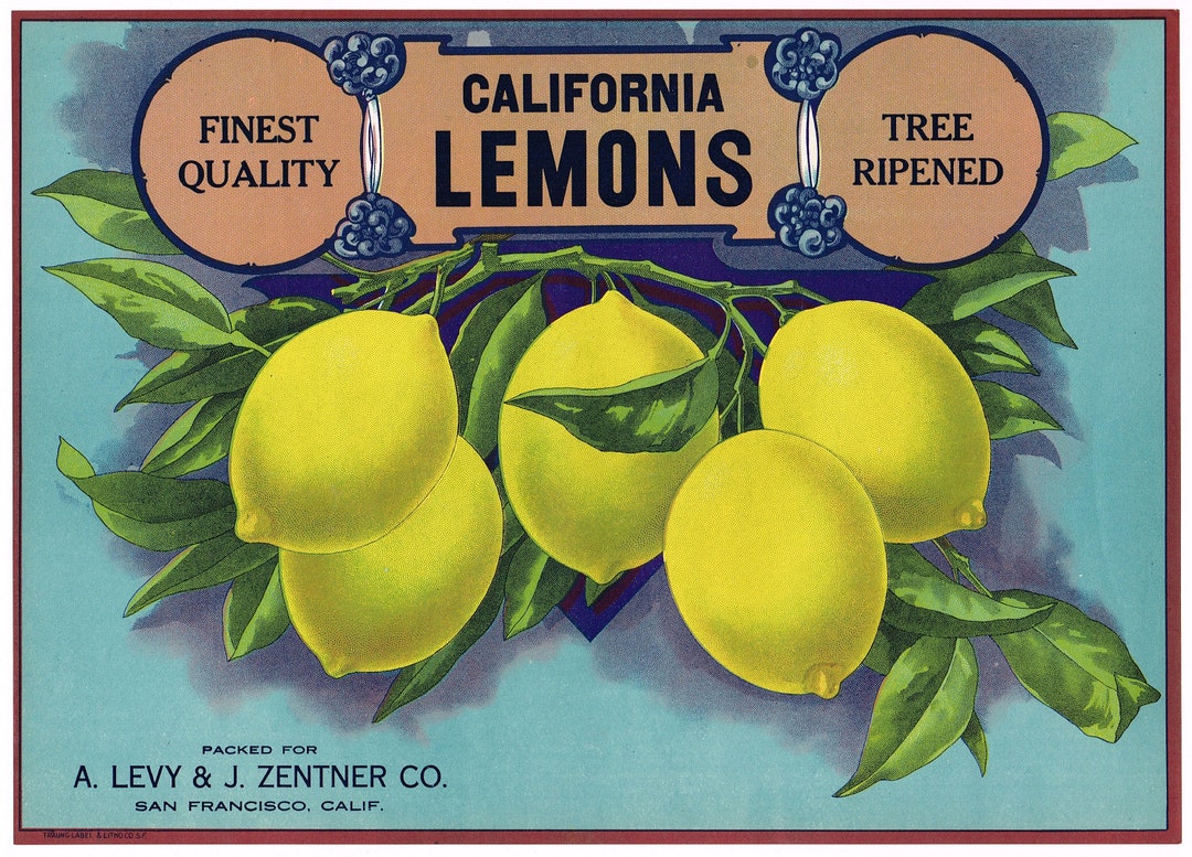 Original Lemon Crate Label San Francisco California Lemons Etsy